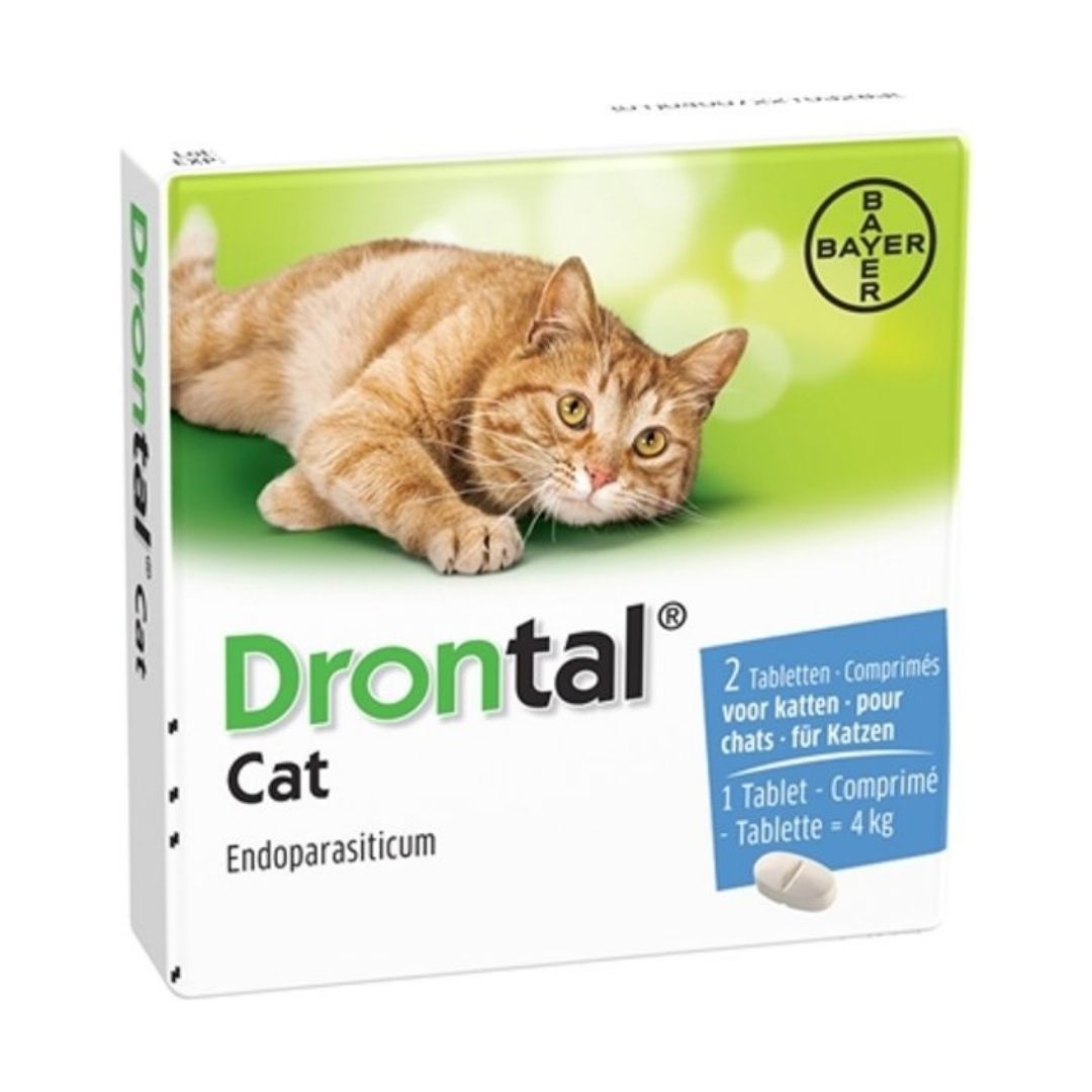 Drontal Tablet for Cats