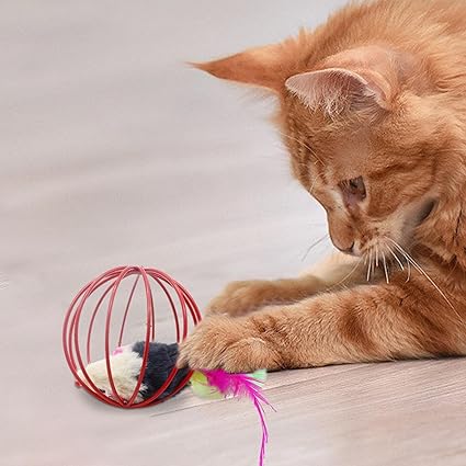 Interactive Mouse Cage Ball Toy For Cat