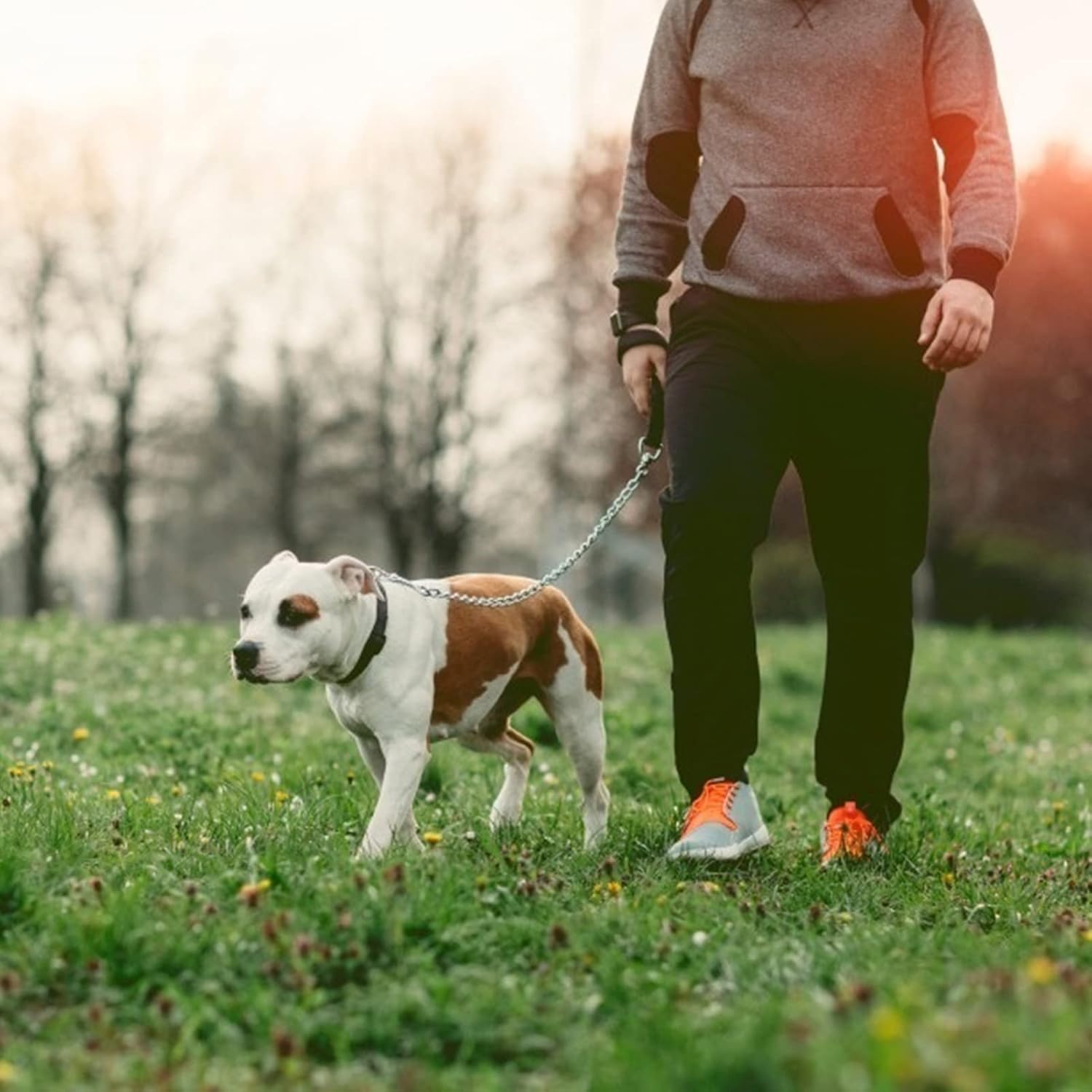 High Quality Chain Leash For Dogs L