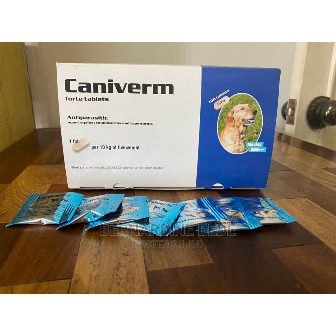 Caniverm Deworming Tablets for Cats & Dogs (01 Tablet)
