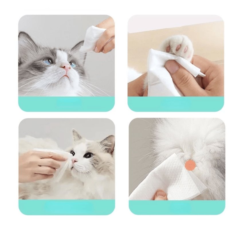 Reflex Care Multi-Purpose Hygienic Cleaning Towels for Cats & Dogs With Free Delivery