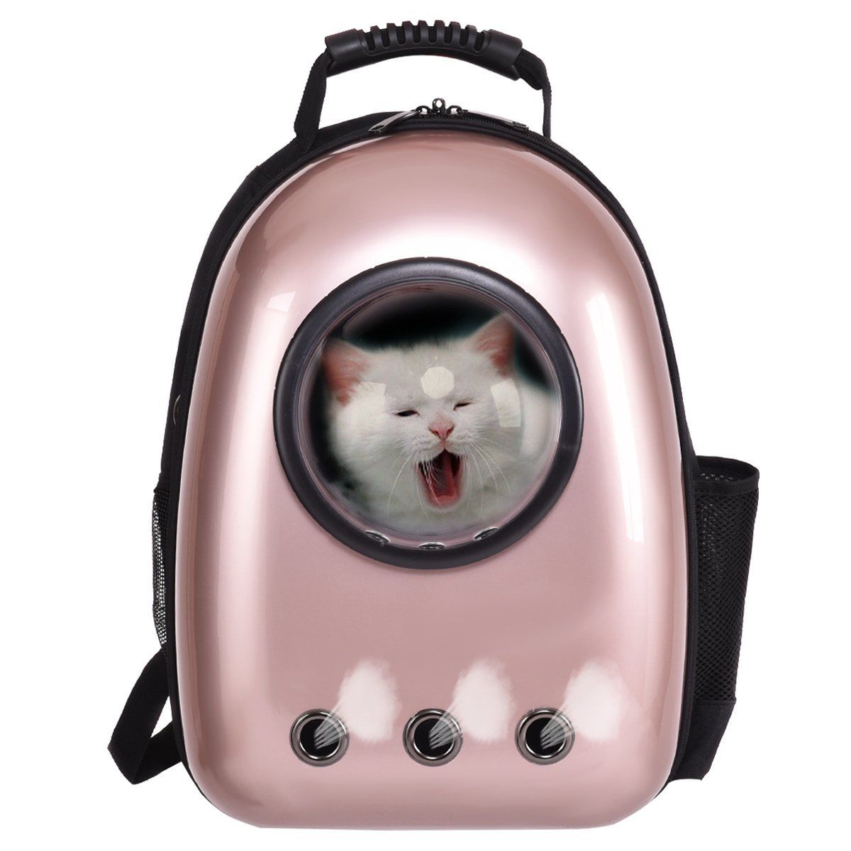 Cat Travel Backpack Colorful With Free Delivery