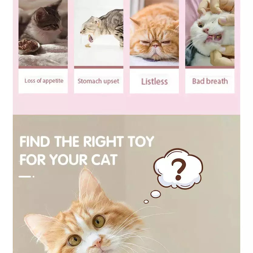 Discount Catnip Lollipop Bundle for Cats