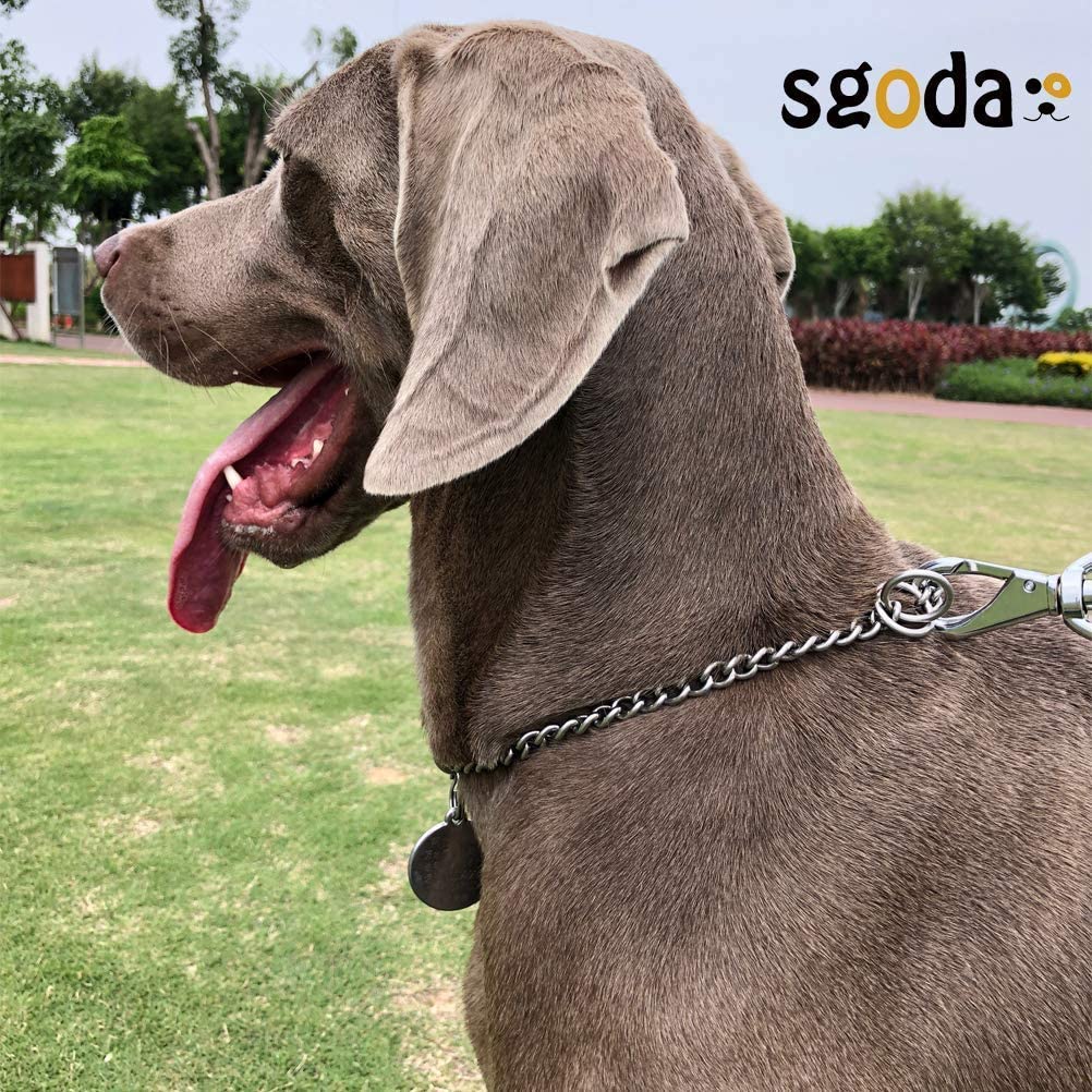 Stainless Steel Choke Chain for Dogs Best Quality