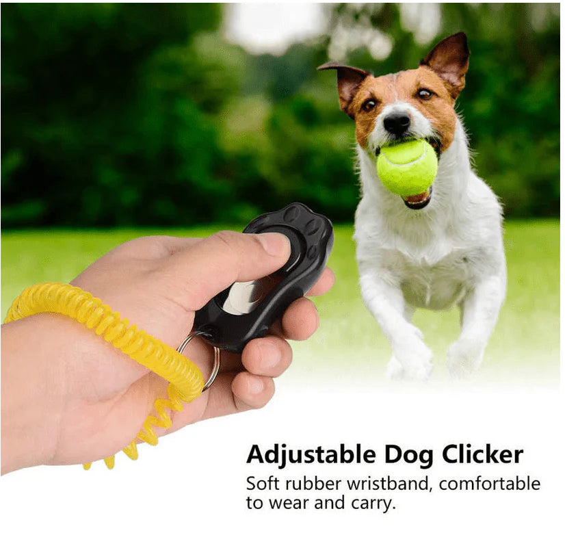 Clicker For Dog And Cat Training