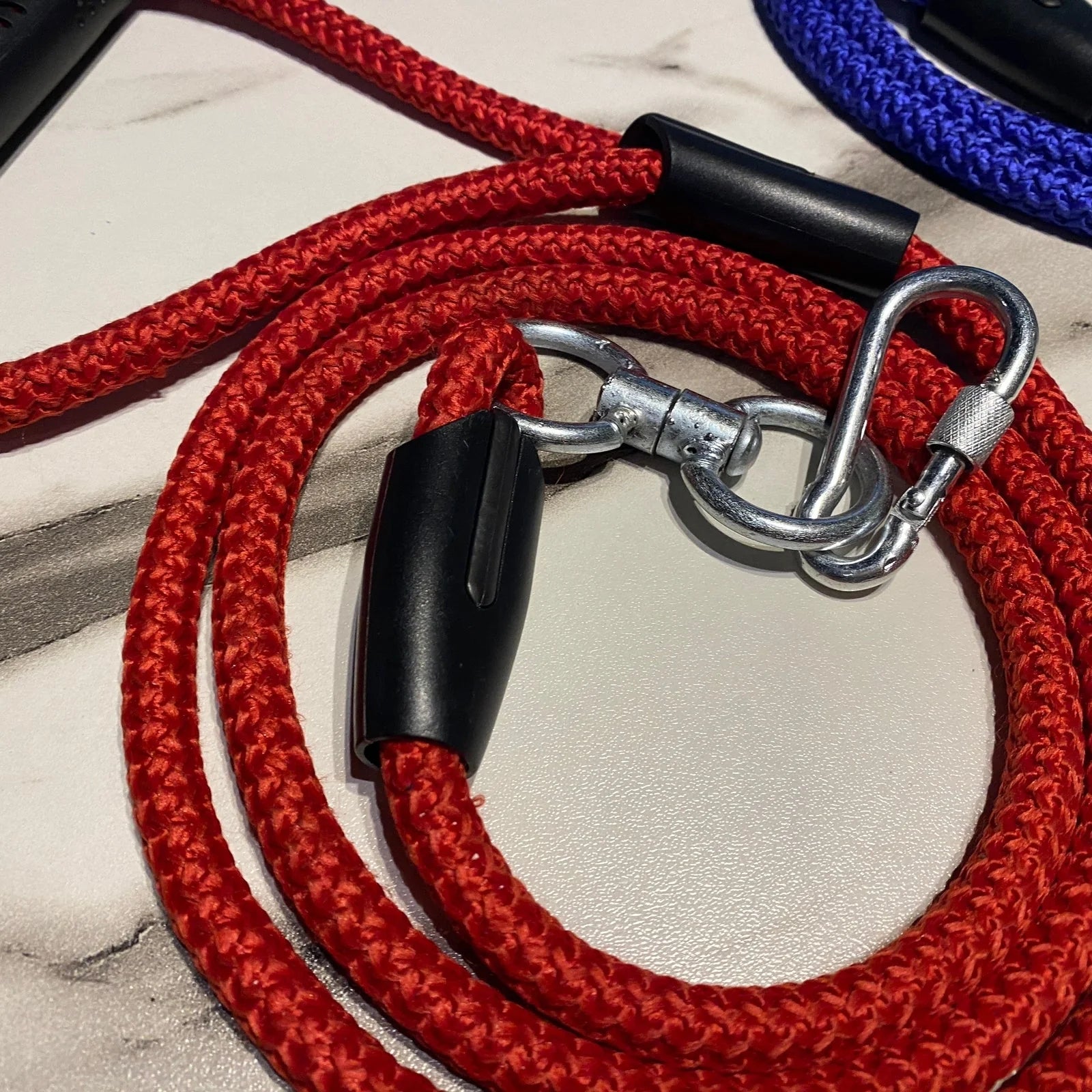 Elegant Dog Leash