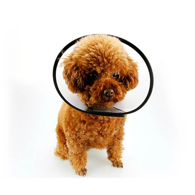 E-Collar for Cats and Dogs