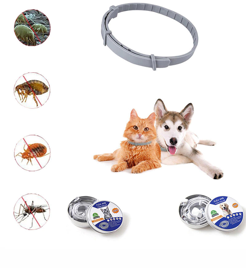Anti Flea & Tick Collar (Ideal for Outdoor Cats & Dogs)