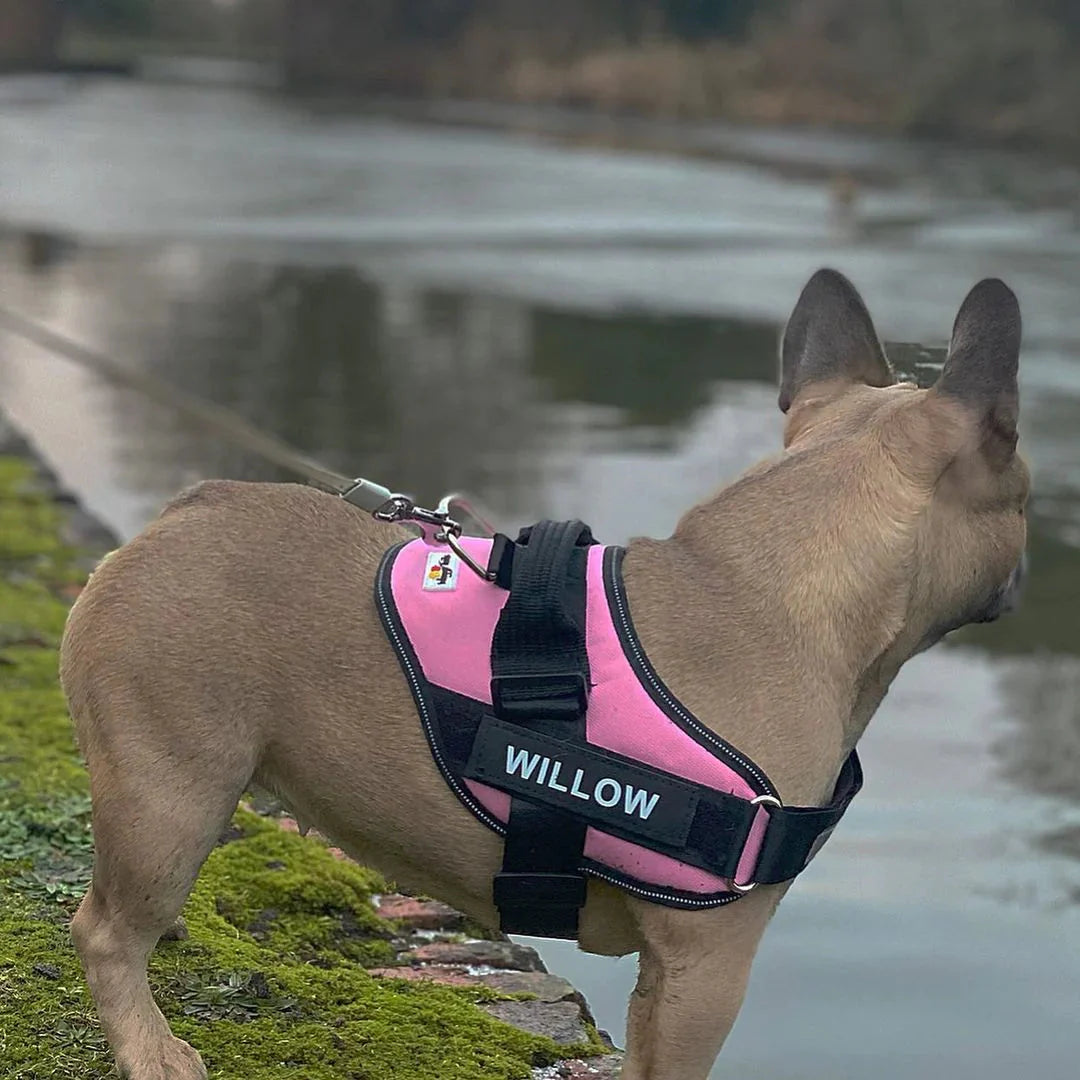 K9 No Pull Adjustable Harness For Dogs Imported