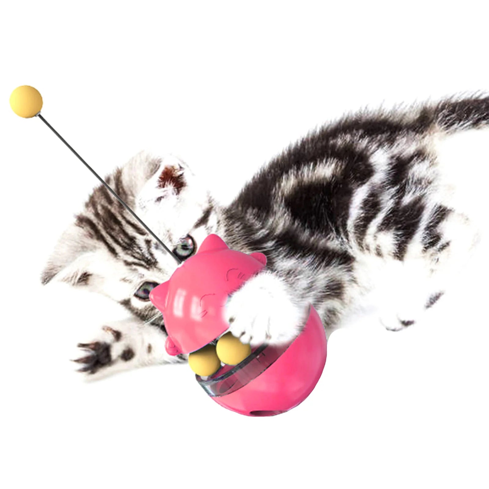Kitten/Cat Tumbler Treat & Food Dispenser