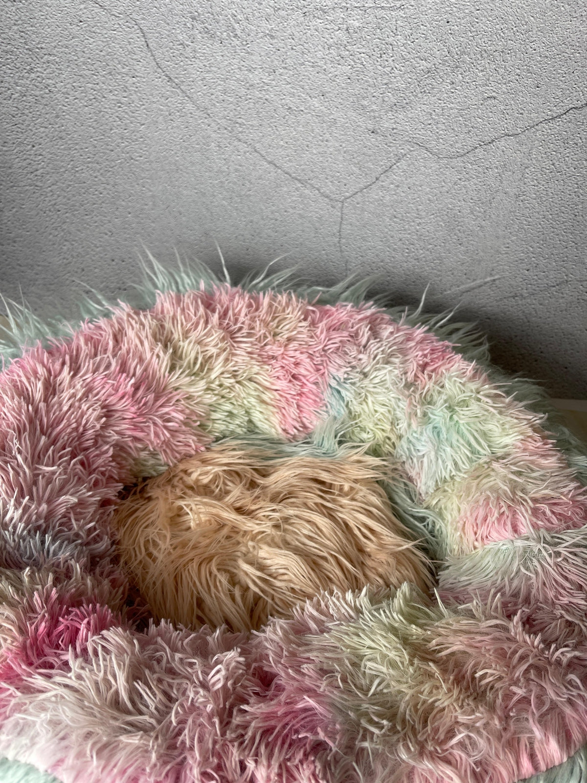 Large Size Cat Fur Beds (Assorted Colors)