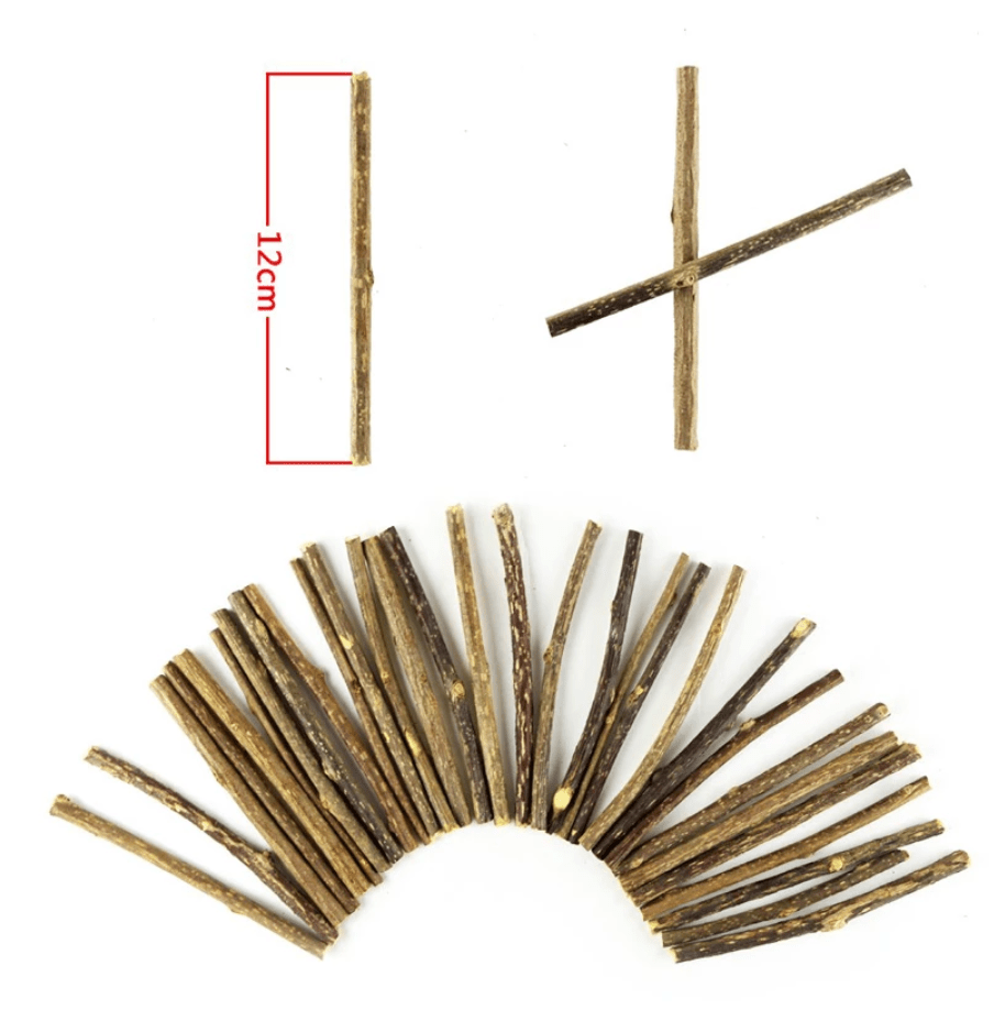 Catnip Stick (Best for Cat Dental Health) (Pack of 4)