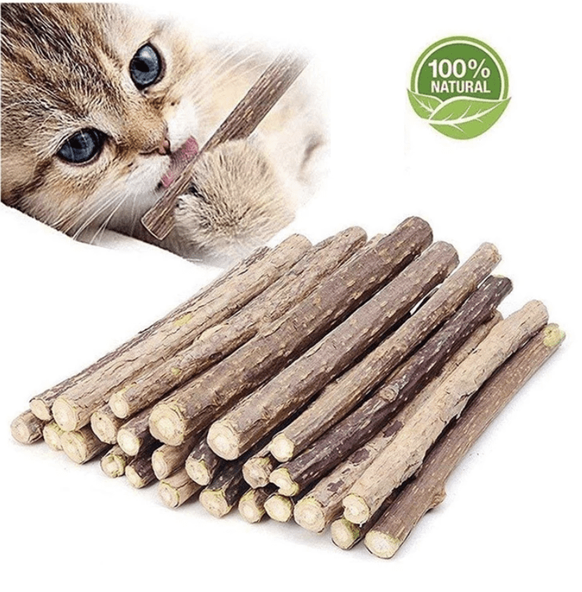 Catnip Stick (Best for Cat Dental Health) (Pack of 4)