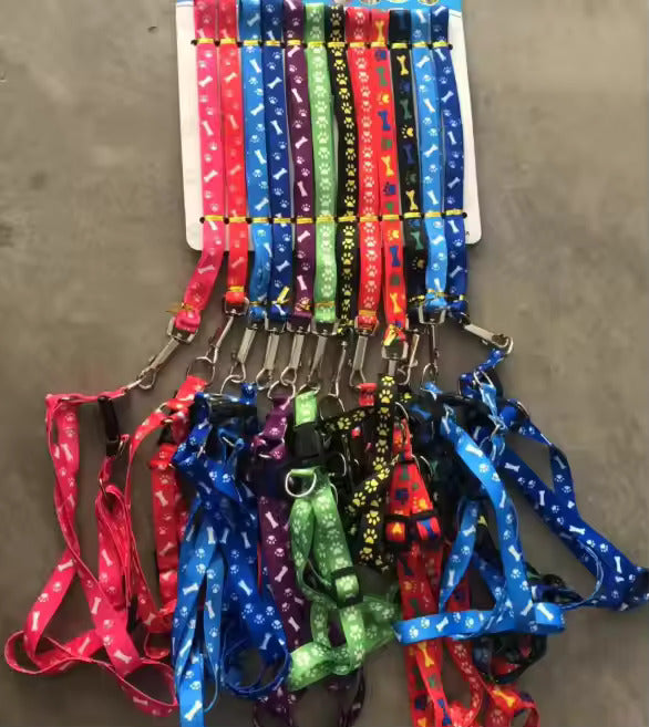 PUPPY LEASH WITH COLLAR