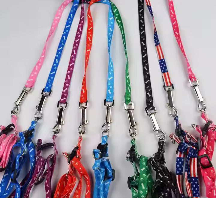 PUPPY LEASH WITH COLLAR