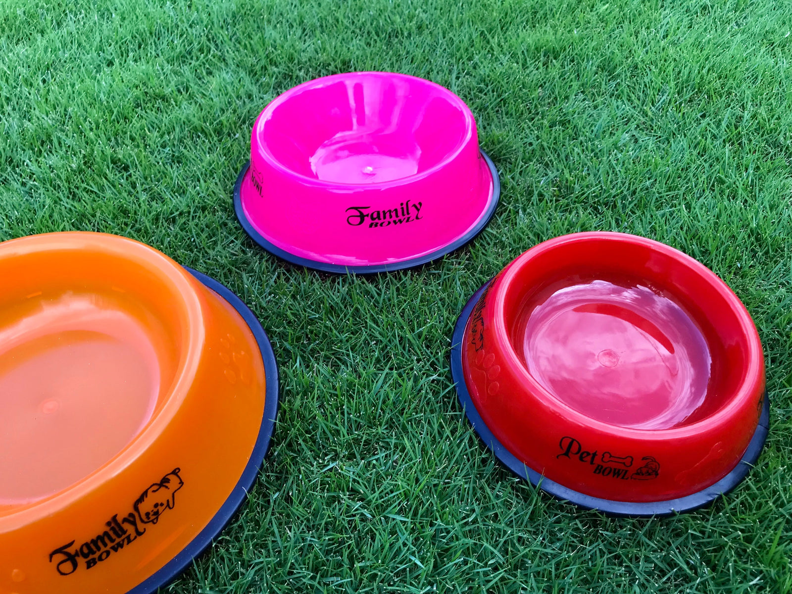 Plastic Bowl for Cats and Dogs