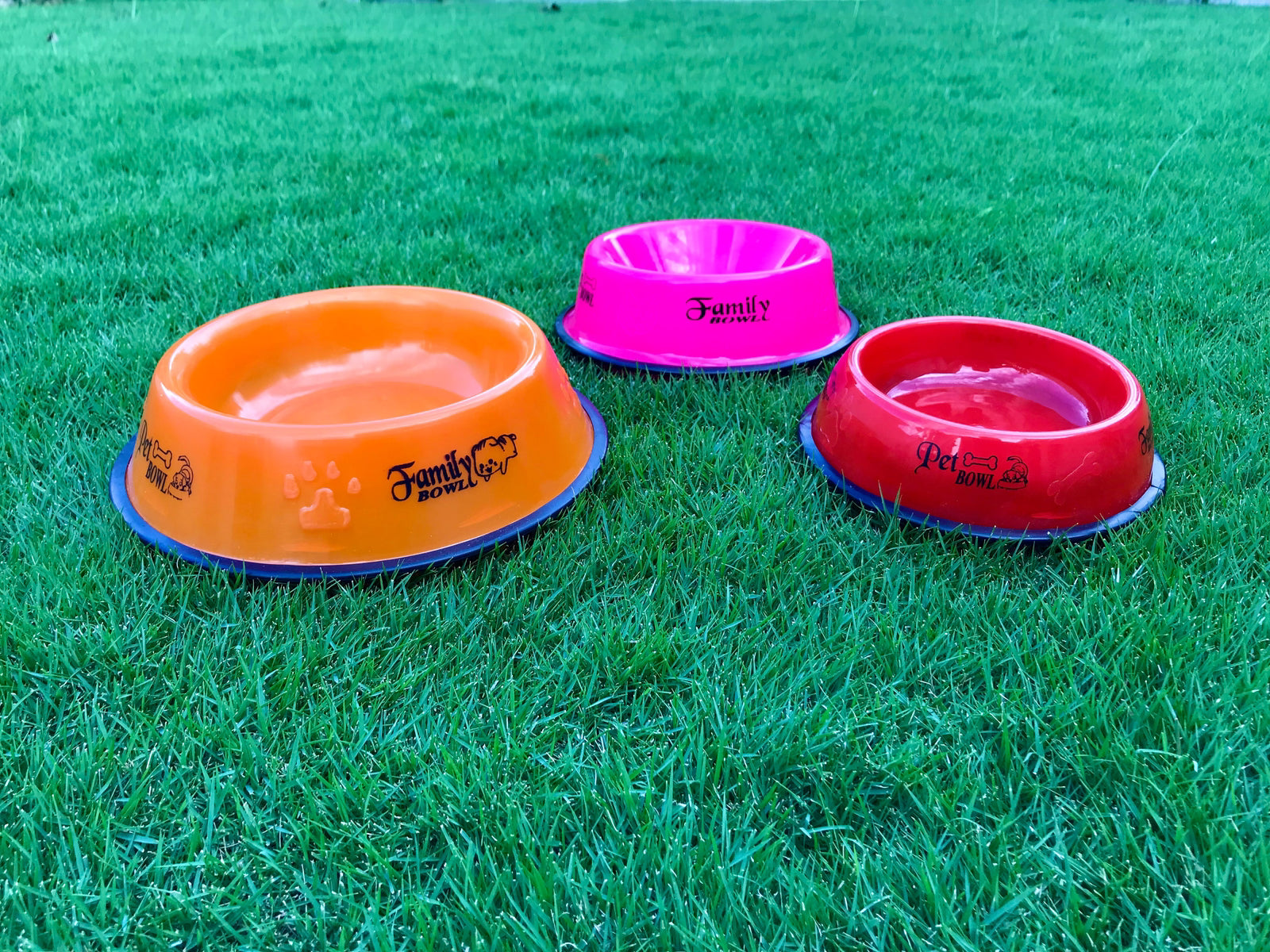 Plastic Bowl for Cats and Dogs