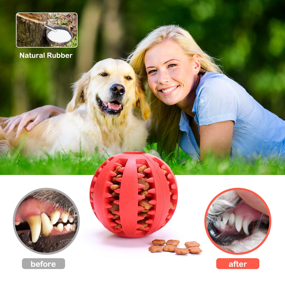 Teeth Cleaning Chew Treat Ball for Puppies and Dogs