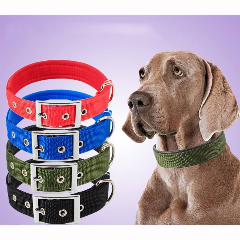 Soft Nylon Dog Collar For Puppies & Dogs 0-2 Months