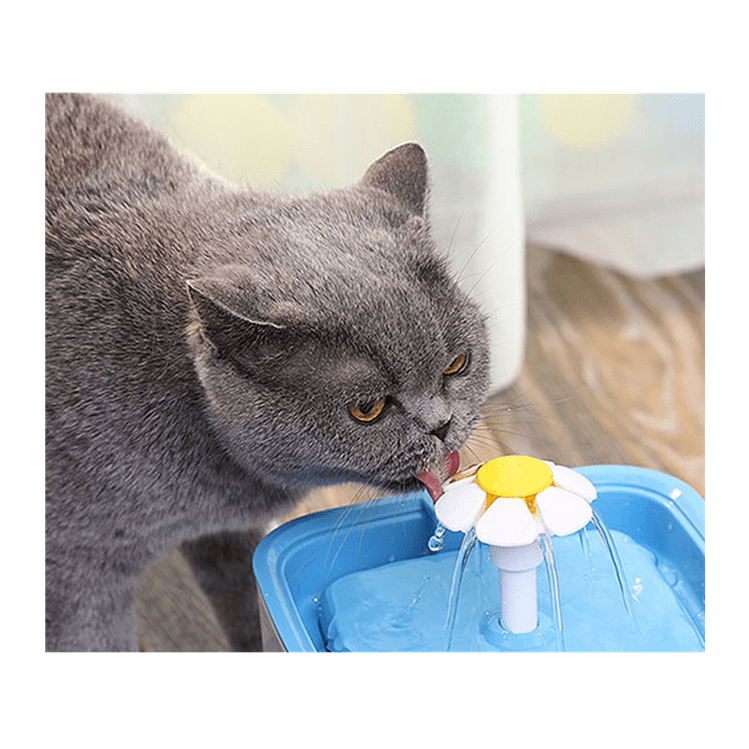 Water Fountain for Cats & Puppies 2.0 Litres With Free Delivery