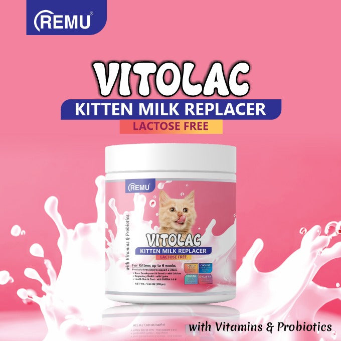 Vitolac Milk Replacer For Kitten