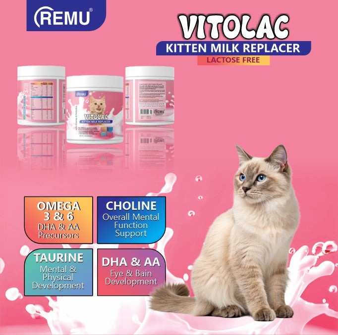 Vitolac Milk Replacer For Kitten