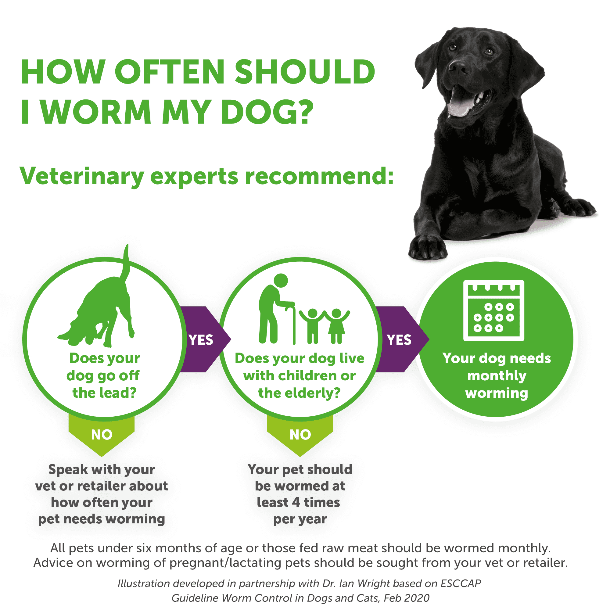 DRONTAL TASTY BONE WORMER TABLETS