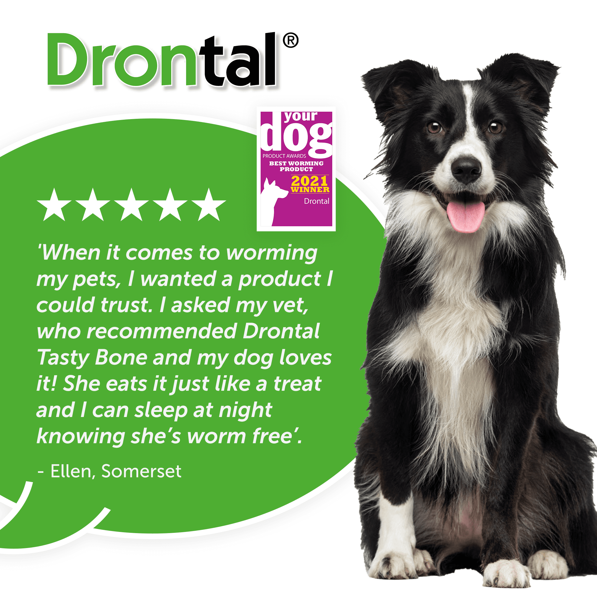 DRONTAL TASTY BONE WORMER TABLETS