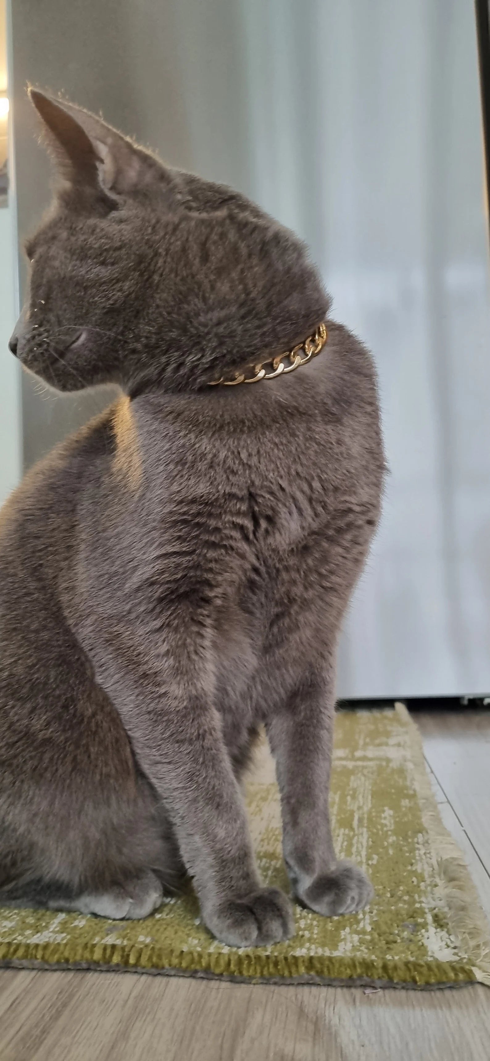 Premium Golden cat chain