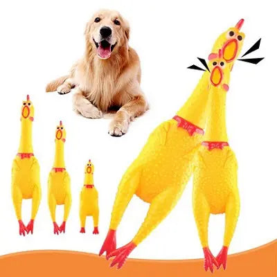 Squeaking Hen Toys for Dogs & Cats  L